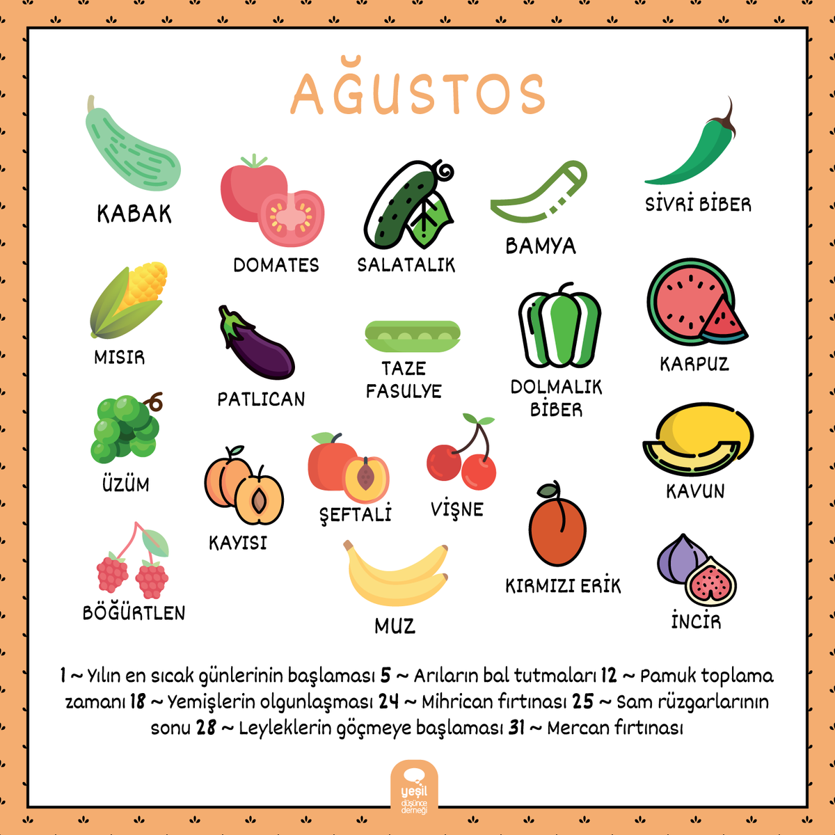 Araya Yeşil Kamp girince paylaşmakta geciktik ama olsun, daha 23 gün var Ağustos'un bitmesine 😊 Şimdiden afiyet olsun hepimize 🌻 

#mevsimselbeslen
#yeşildüşün
#gogreen