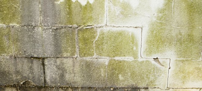 BondedH2O's tweet photo. Be one step ahead and learn how to prevent mold in your basement
https://t.co/cDHiUPt5Cw https://t.co/ZZHnrAZn2d