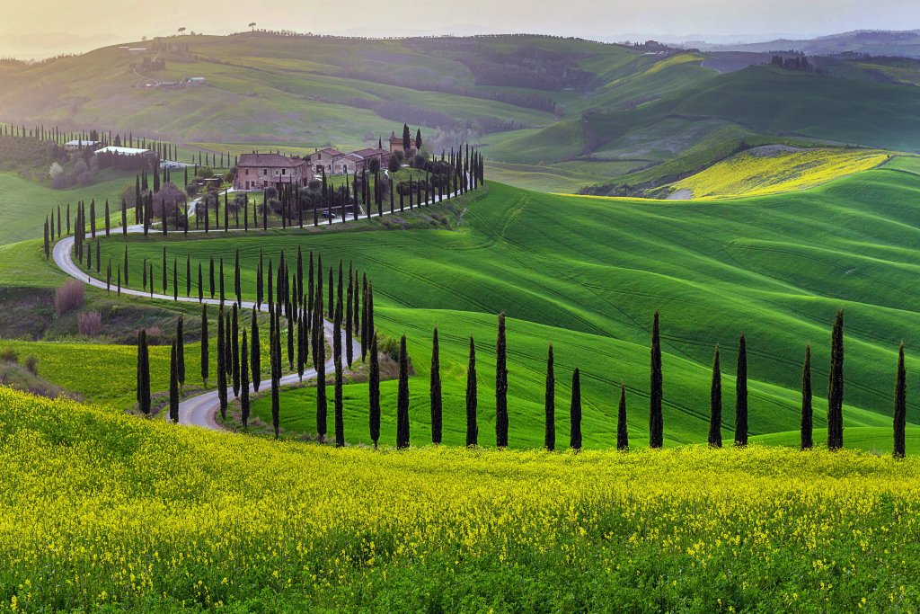 EmilimSchmitz's tweet photo. Tours pela Toscana partindo de Florença https://t.co/k13E2XKdUj https://t.co/XQ5NwmkHAv