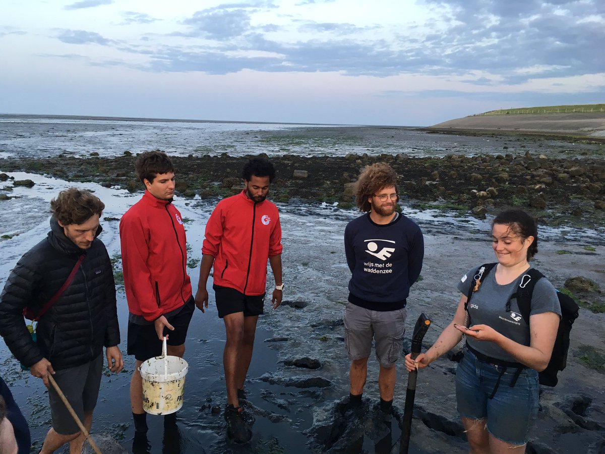 searangersorg's tweet photo. Following a #ProSea Maritime Environmental Awareness Course on #Texel is not complete without exploring the #mudflats. #GoSeaRangers 🌊 https://t.co/6X8aMnF1gq