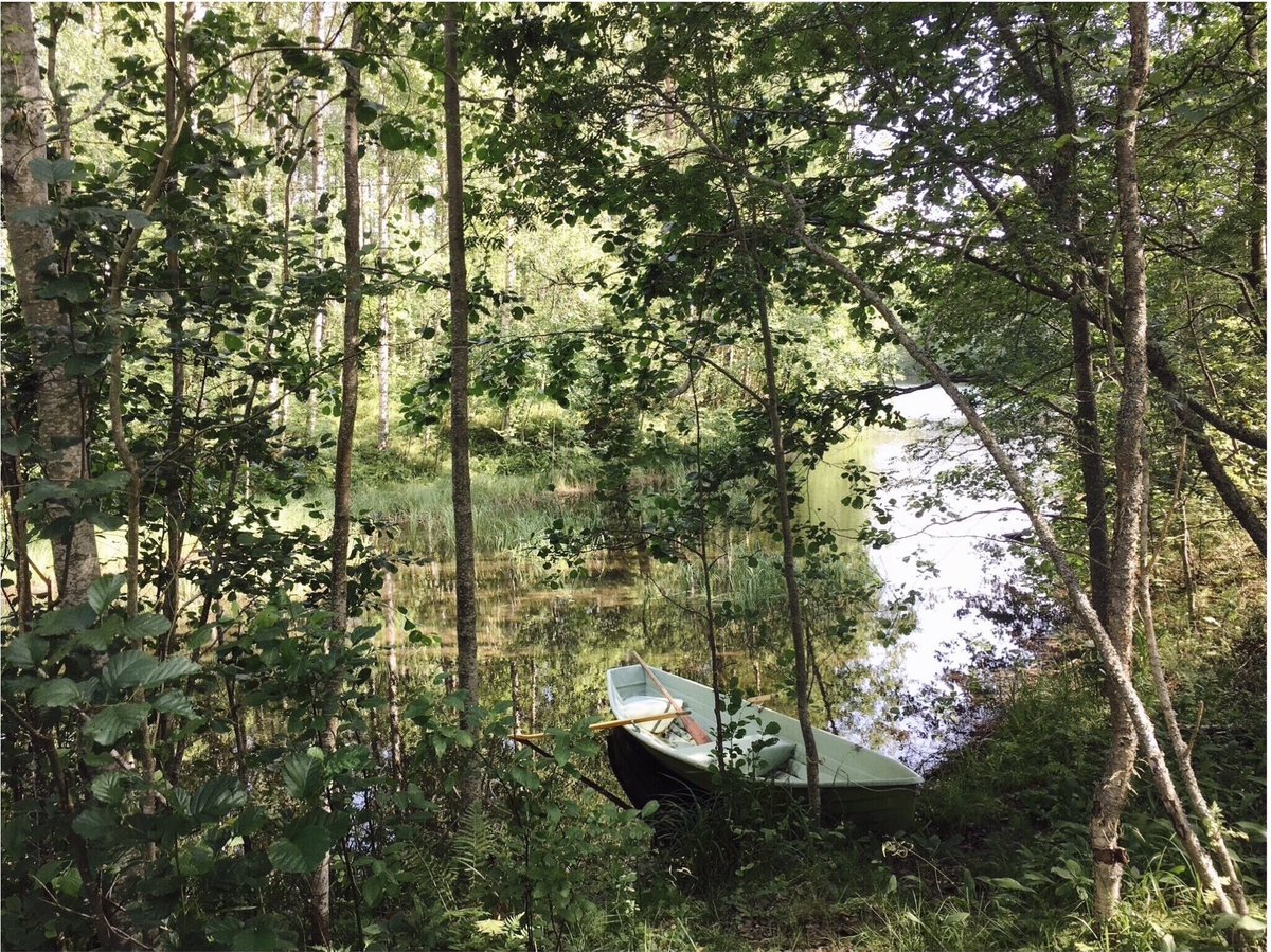 PHacklin's tweet photo. Veneretkellä. #elokuu #pohjoiskarjala #mökkielämää #thisisfinland https://t.co/GAJODm4kRN