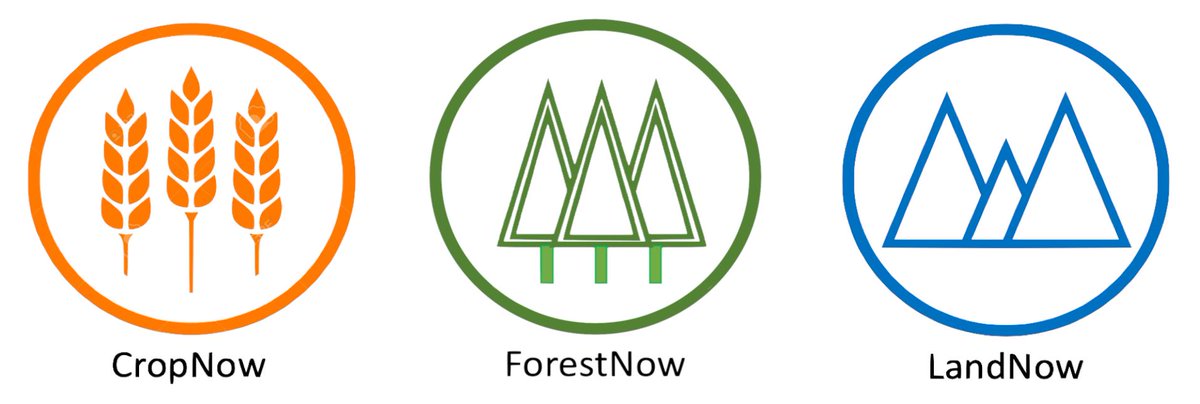 GSiEarth's tweet photo. We’re delighted to launch our first range of products: #GSINow! CropNow, ForestNow and LandNow have been created by a team of specialists to offer businesses near-real time information on the state, condition, value and sustainability of their assets. 🌲🌍 https://t.co/mk8MFnrDFI https://t.co/QMOHBxEpVC
