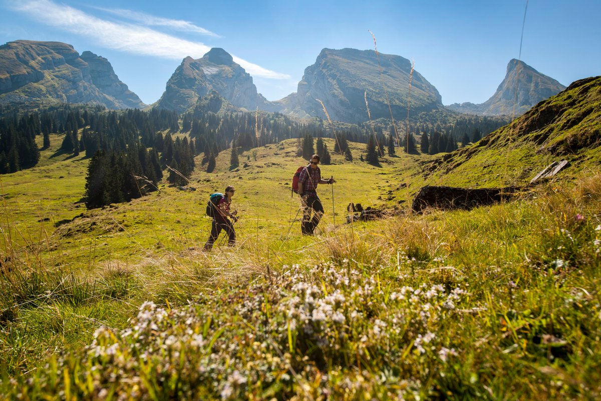 Der Toggenburger #Höhenweg führt Wanderer in 6 Tagesetappen von #Wildhaus bis #Wil und zählt zu den schönsten, aber auch anspruchsvollsten #Wanderrouten der #Ostschweiz. Bereit für das Abenteuer? Dann buche jetzt unser Angebot mit Übernachtungen u.v.m.: bit.ly/2yDExoq