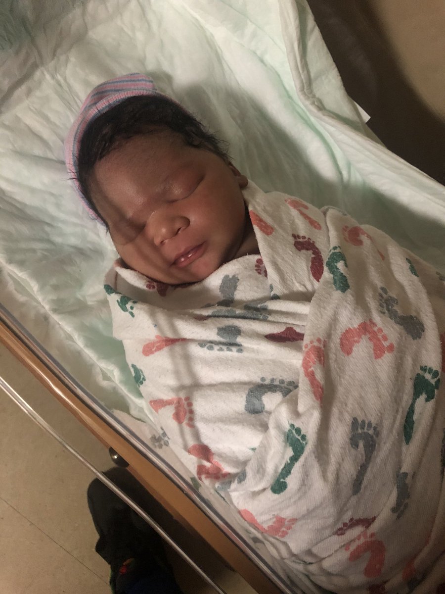 bearfromgresham's tweet photo. welcome to the world my child!        🐻🤟🏽💙 https://t.co/SikxAiJTY3