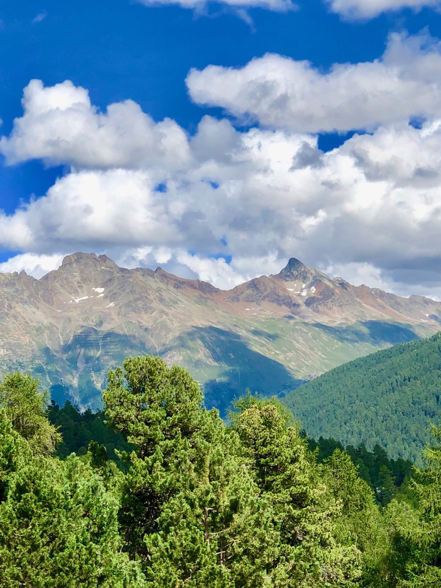 Barbara keller tweet media