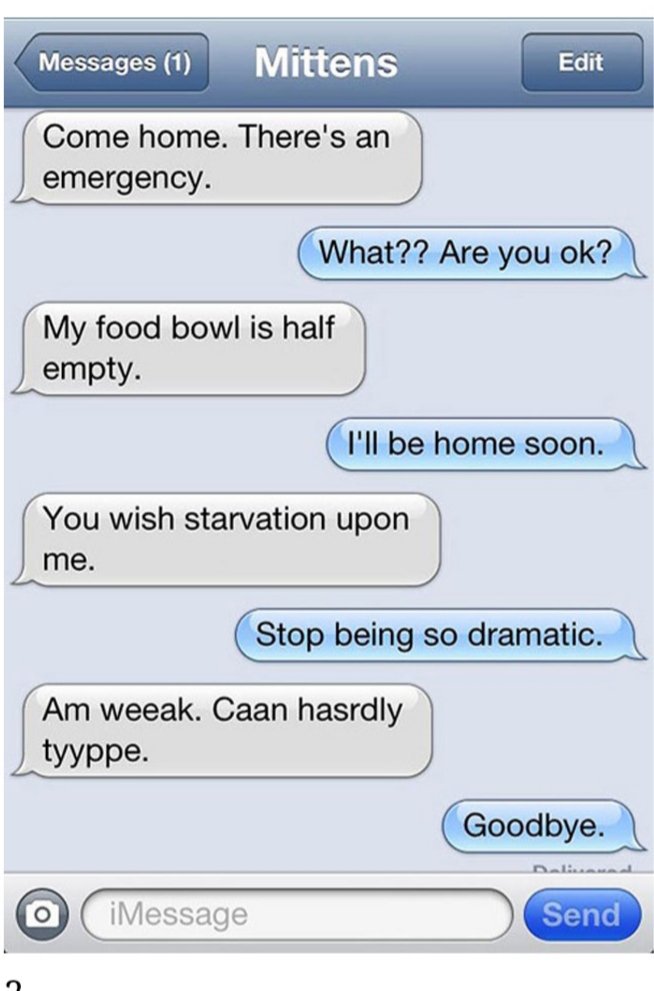 AmandaCopeland_'s tweet image. #InternationalCatDay  🐈 #textback #true 💓 #love 🤣