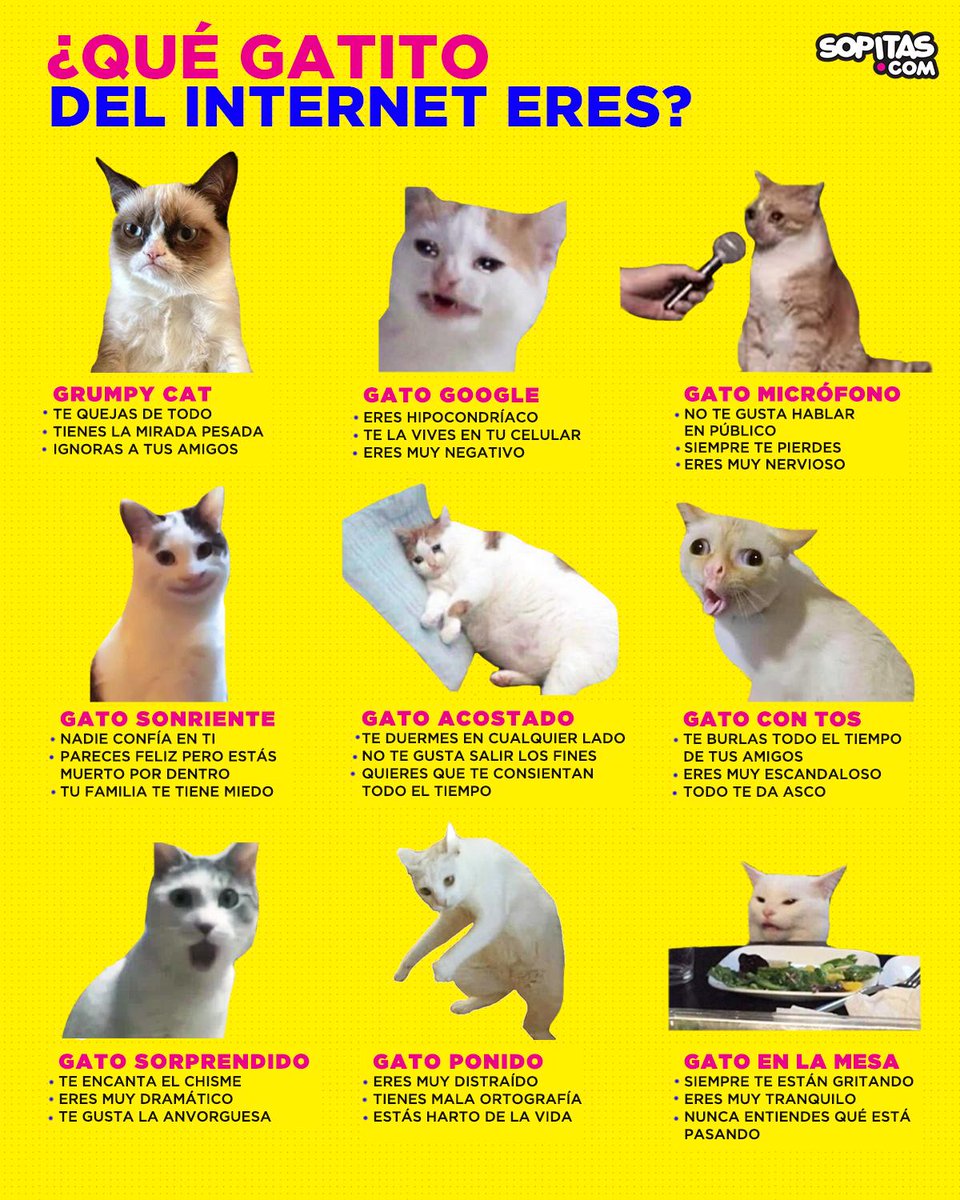 sopitas's tweet photo. Es importante que este #DíaInternacionalDelGato me digas ¿cuál de estos gatitos te representa mejor? https://t.co/uXCRDb1LBC