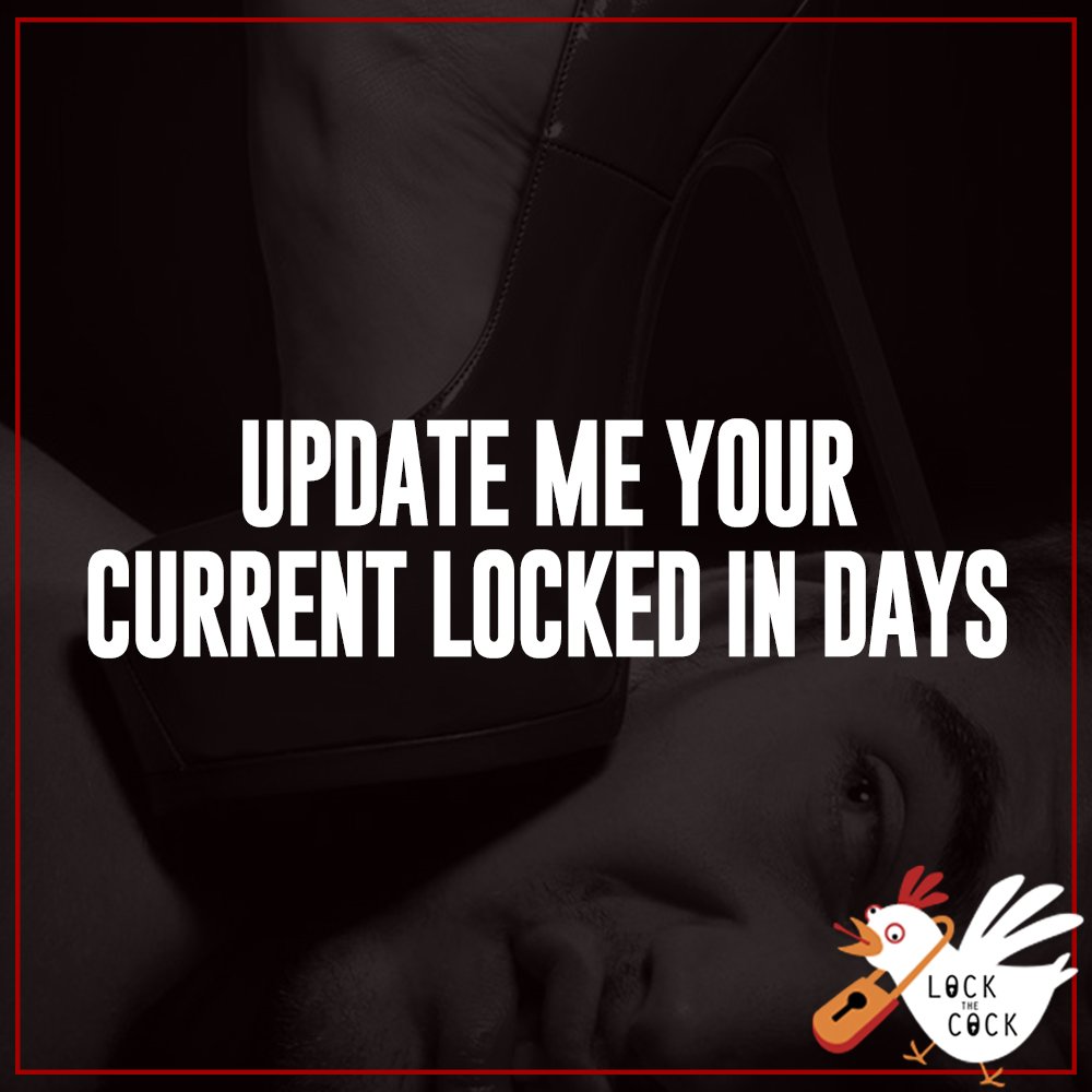 LOCKTHECOCK CHASTITY 🐔 tweet media