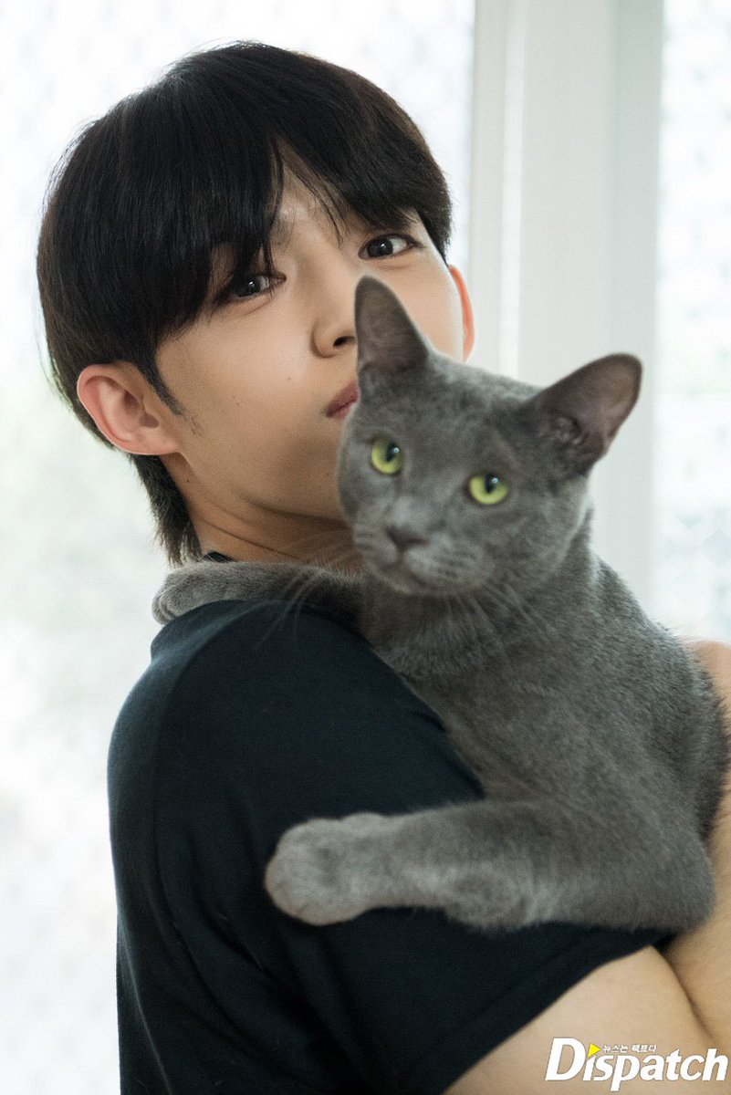 7TEEN_ARG's tweet photo. #InternationalCatDay es el mismo día que el cumpleaños de nuestro líder S.Coups 🐱♥️ @pledis_17
#BestLeaderCOUPSday
#여름은_장마철_생일은_최승철

https://t.co/Q0lgOFDXTu https://t.co/031M8aRC10