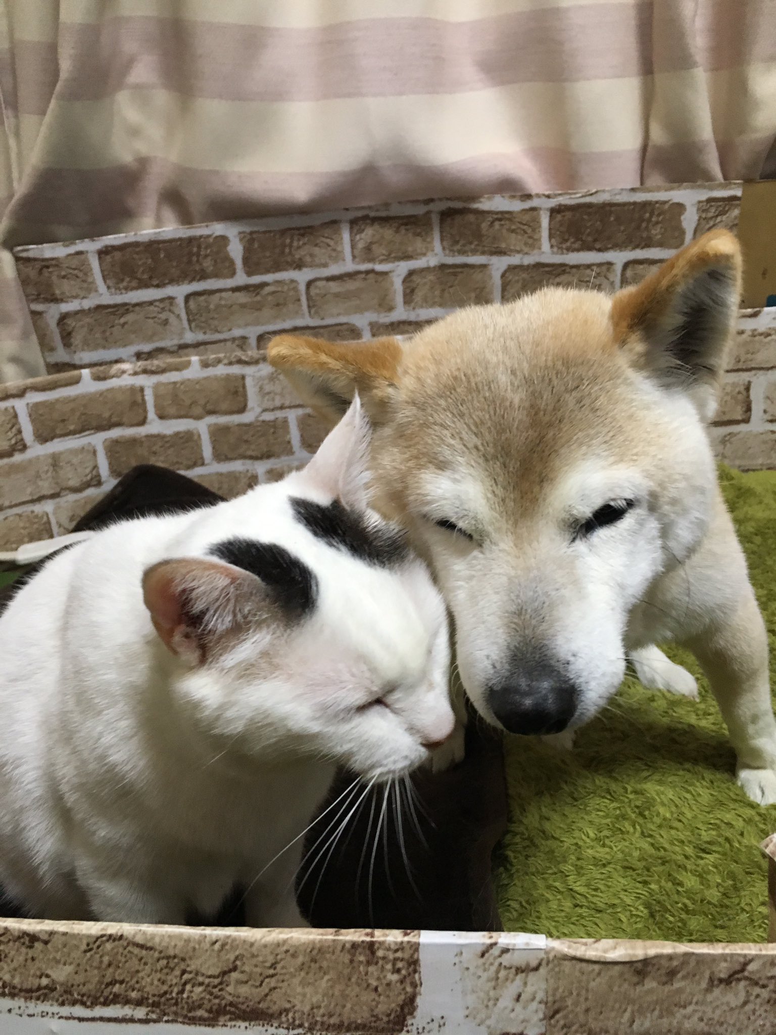 Ã¬ÂÂ´Ã«Â¯Â¸Ã¬Â§Â