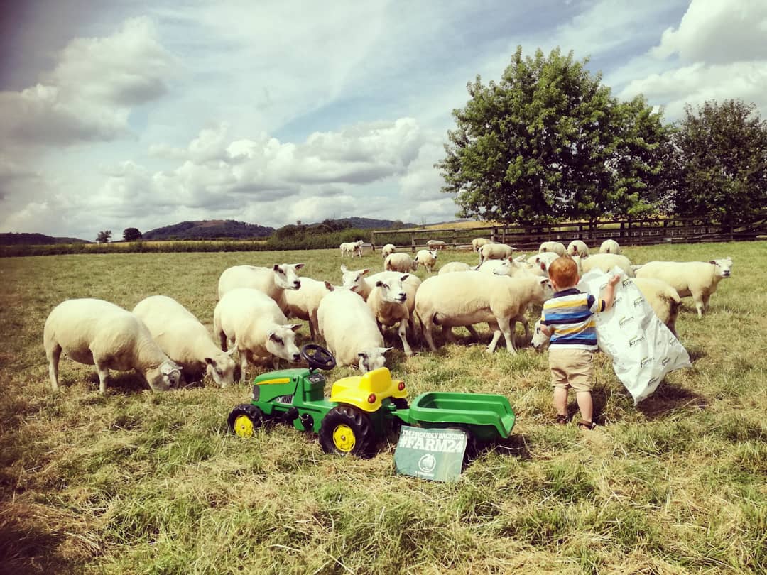 NatashaBaker28's tweet photo. A passion to back British farming continues on in Oscar ... Be loud Be Proud #farm24 @FarmersGuardian https://t.co/QqNYX7XYek