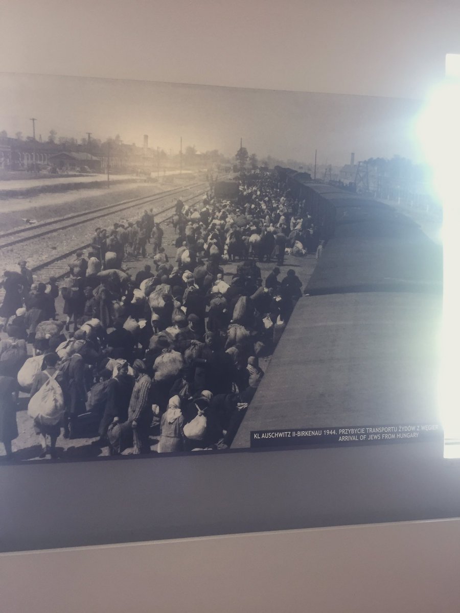 Louismeps's tweet photo. Auschwitz- birkenau, it’s happened before, it could happen again🖤 https://t.co/WCFJ9R4uFk