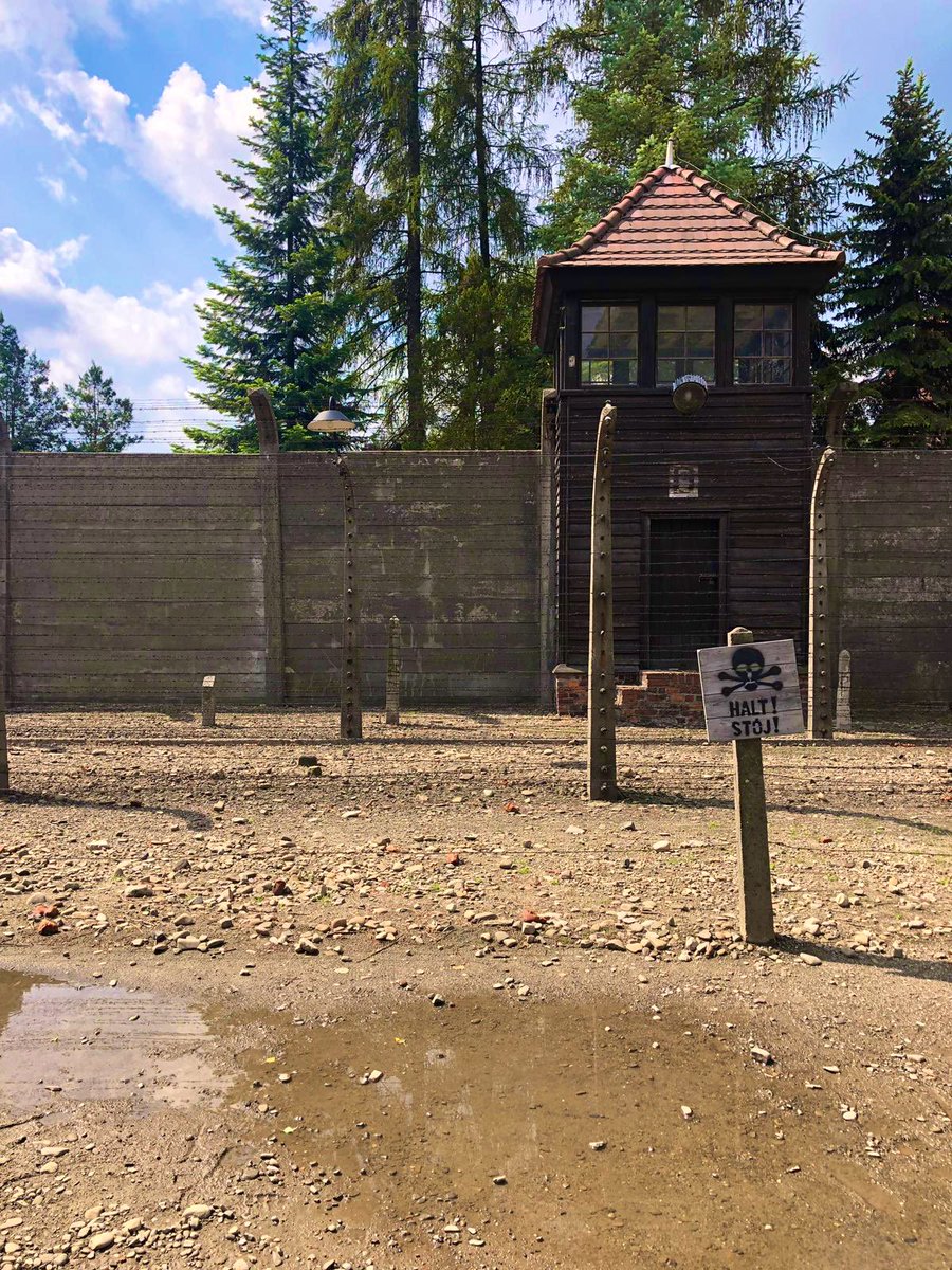 Louismeps's tweet photo. Auschwitz- birkenau, it’s happened before, it could happen again🖤 https://t.co/WCFJ9R4uFk