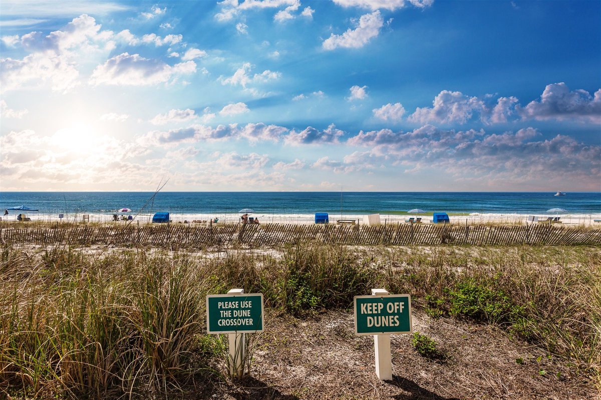 Perdido_Realty's tweet photo. Don't for get to book your stay with us for Labor Day!☀️🌊🏖 We have just reduced pricing🙌😄 Call or go online today! 📞💻 https://t.co/ZdCcX5BQNP #perdidokeyfl #vacationtime #laborday #weekendgetaway #perdidorealty https://t.co/KT71BealeA