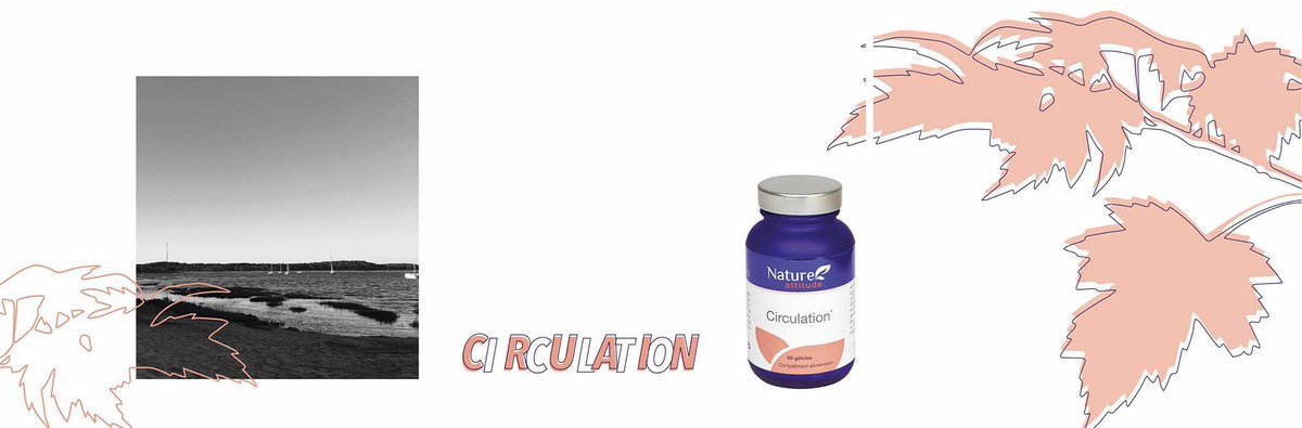 Le complexe Circulation, formulé à base d'extraits de vigne rouge, de cyprès, d'hamamélis, de sarrasin et de pin (dont 95 mg d'OPC), est recommandé dès l'apparition des troubles de la circulation sanguine natureattitude.fr/circulation-5/