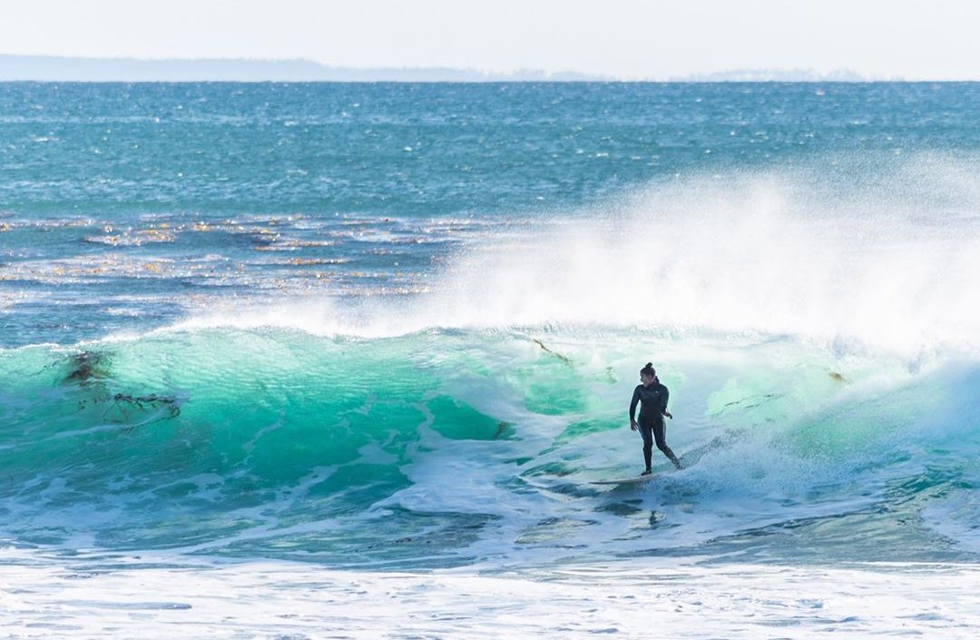 🌬 O F F S H O R E⁣
📷 @zlightphotography⁣
#texturedwaves #womenwhosurf #representationmatters #diversifythelineup #curlyhair #kinkyhair #texturedhair #naturalhair #saltysisters #womenssurfing #ladyslider #blackgirlmagic #womenofcolor #surfculture #surfsisters #surfergirl #surf