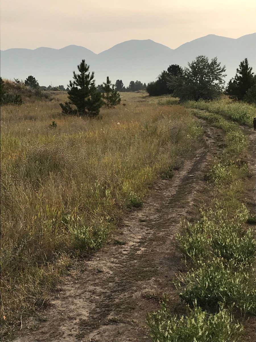 milanamarsenich's tweet image. The smoky #MissionMountains