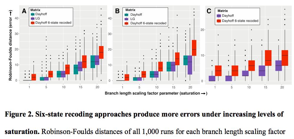 Whitney_Lab's tweet photo. New #RyanLab preprint from @xelamarie92 evaluating 6-state recoding w simulations. "Six-state amino acid recoding is not an effective strategy to offset the effects of compositional heterogeneity and saturation in phylogenetic analyses."  https://t.co/whRsj9bA2g https://t.co/9AkPaGA2x8