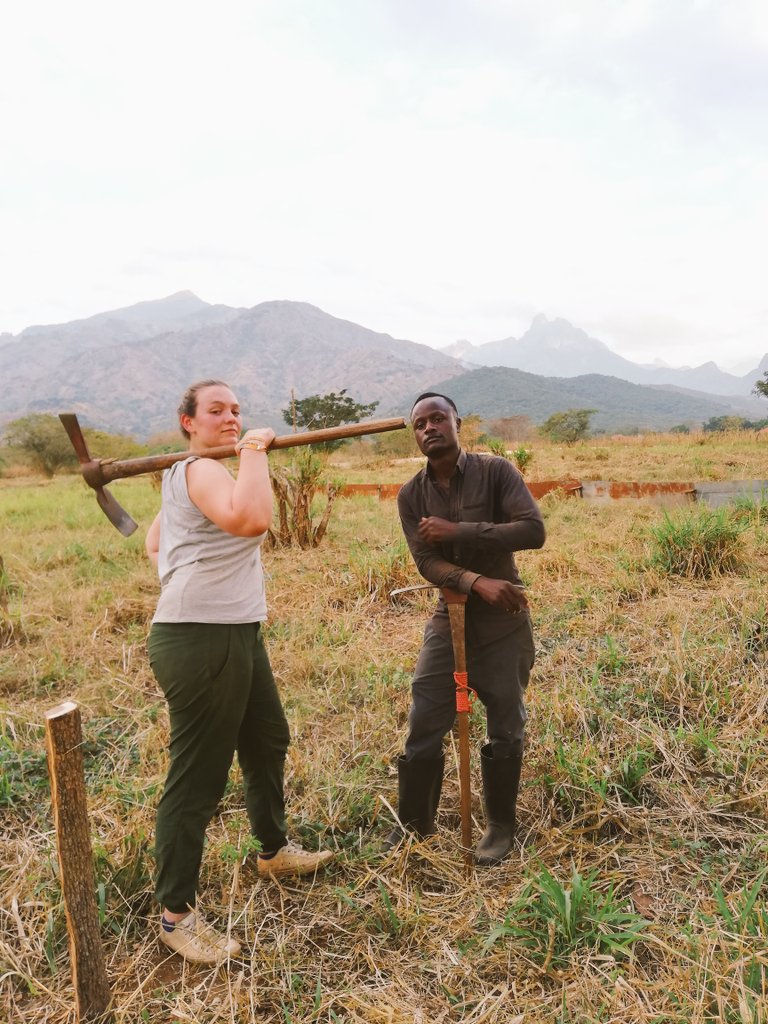 LuciKirkpatrick's tweet photo. Hard days labour setting up our experiment #studentlabour #hard #fieldwork #models https://t.co/jVzx8S7OQv