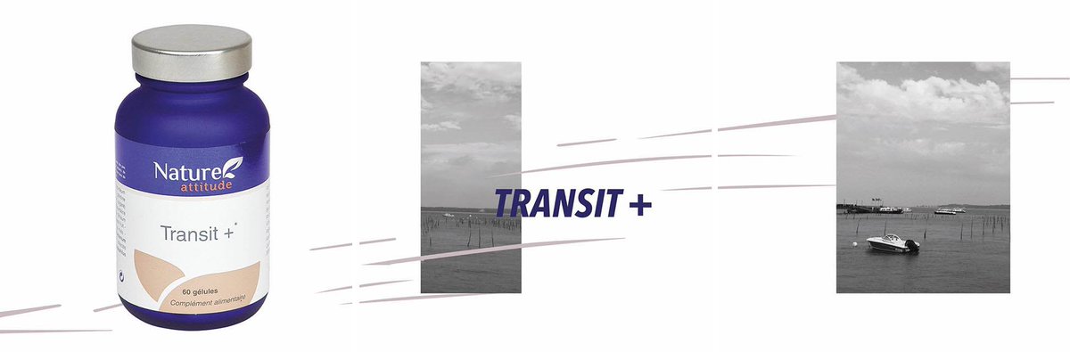 TRANSIT+ s'adresse aux adultes souffrant de constipation occasionnelle avec un transit lent. L'action symbiotique des ferments lactiques et des fructo-oligosaccharides favorise une digestion plus rapide et plus complète natureattitude.fr/transit-3/