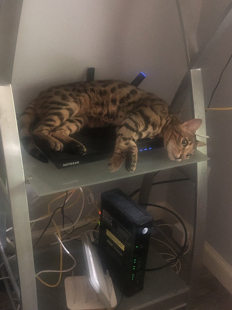 Why is my internet so slow?! 

Oh.... 

#Bengals