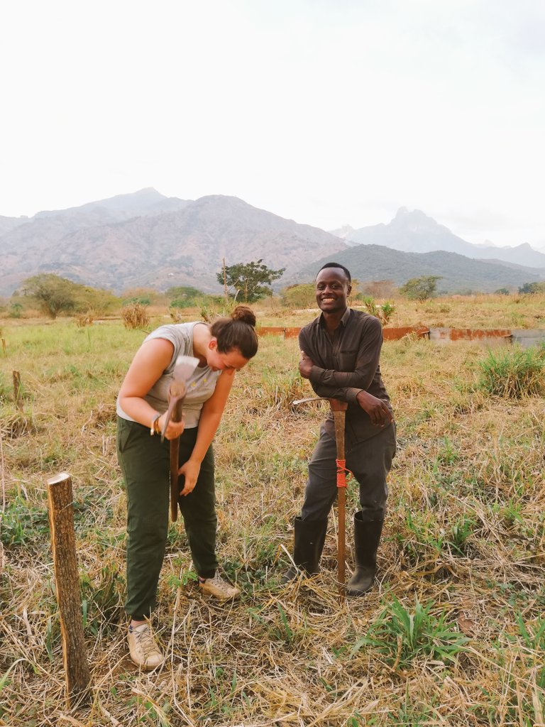 LuciKirkpatrick's tweet photo. Hard days labour setting up our experiment #studentlabour #hard #fieldwork #models https://t.co/jVzx8S7OQv