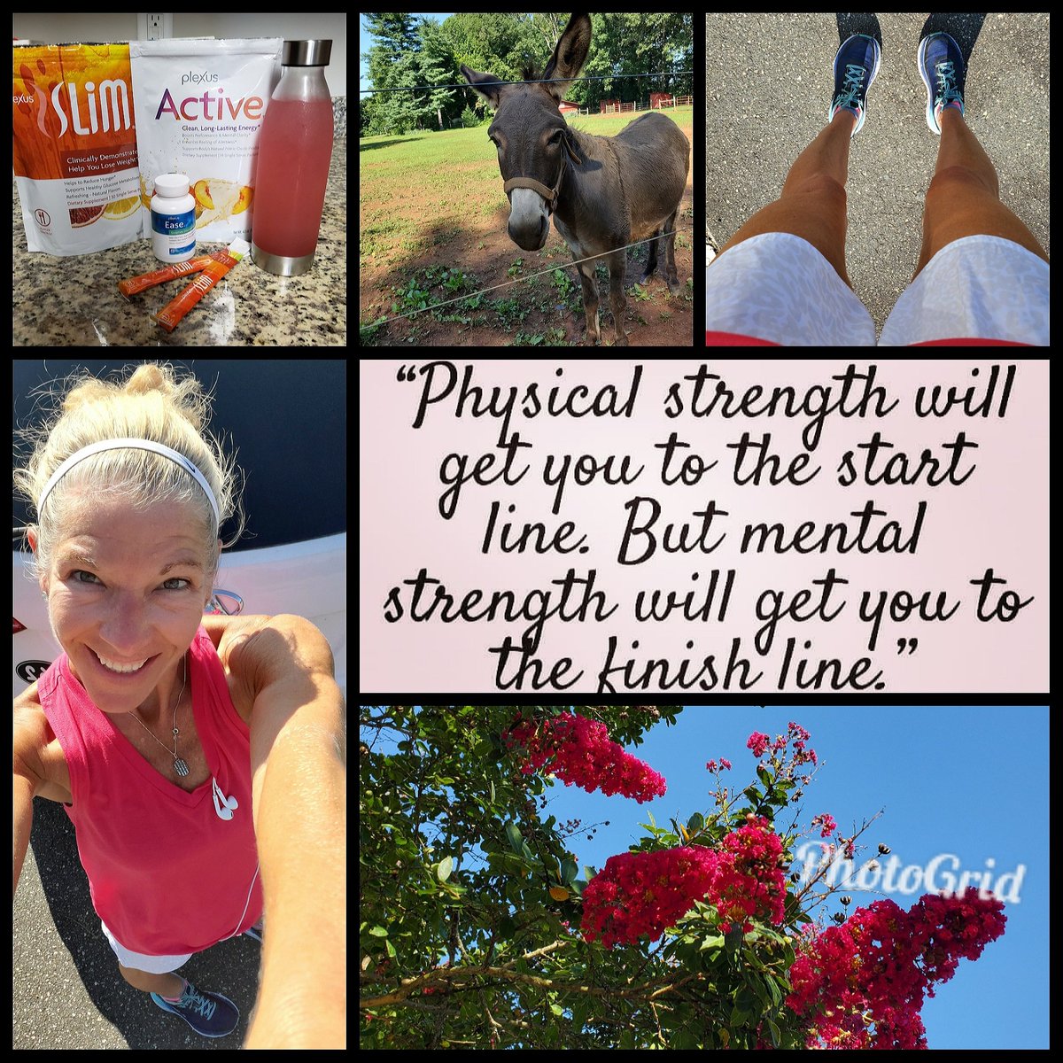 tarheelangelrun's tweet photo. It's always nice when your furry friends come out to say hello...walking rest day on another gorgeous morning #restequalsstrength #angelrunner #perfectlyimperfect #mindbodyandspirit #celebratehealthandwellness #plexusjourney #plexusEASE #plexusACTIVE #plexusSLIM #pinkdrink https://t.co/pDB4oiJxwU