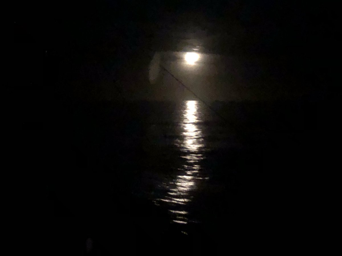 takabo77's tweet photo. 四国 高知の土佐湾沖を航行中に夜のワッチに入りました。
台風の影響も少なく、今のところ穏やかで良かった。
#tosawan #sikoku #voyage #navigationwatch #officer #sailor #seamenslife #roroship #rorovessel #carcarriervessel #lifeonship #土佐湾 #四国 #高知 #ワッチ #航行中 https://t.co/4DCZSZRqwd