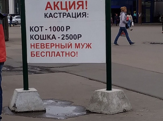 Кросс неверный муж