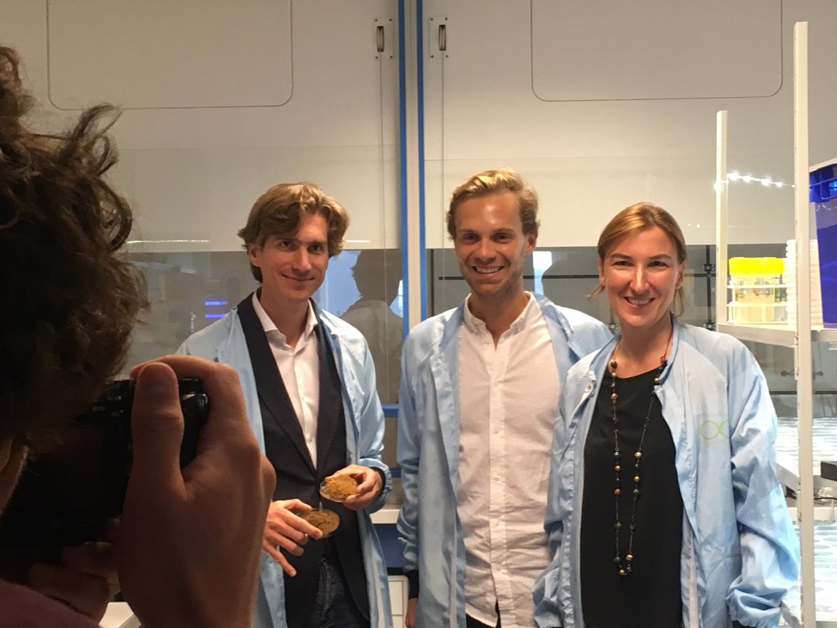 Such a pleasure for us to share our knowlegde about #ginseng with energetic and fresh Compliment team. Check out on compliment.me how you can easily take care of yourself thanks to personalized dietary supplement packs #hrg80inside #naturalingredients #betterplants