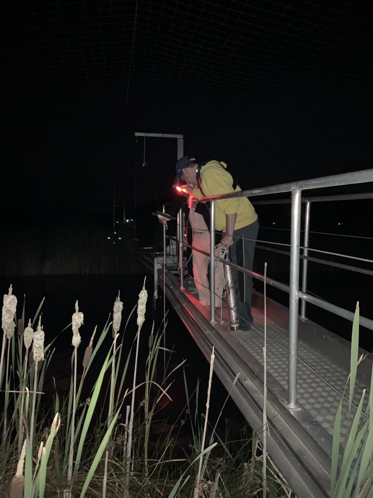 Had a great time sampling at #PLANAQUA <a href="/aquacosm/">AQUACOSM</a>  with <a href="/jondoubek/">Jonathan Doubek</a> <a href="/planktongirl16/">Heather Wander</a> @dvm_uvm @GoldfarbSadye 
We sampled 16 lakes and collected over 200 zooplankton samples over 6 consecutive days/nights!