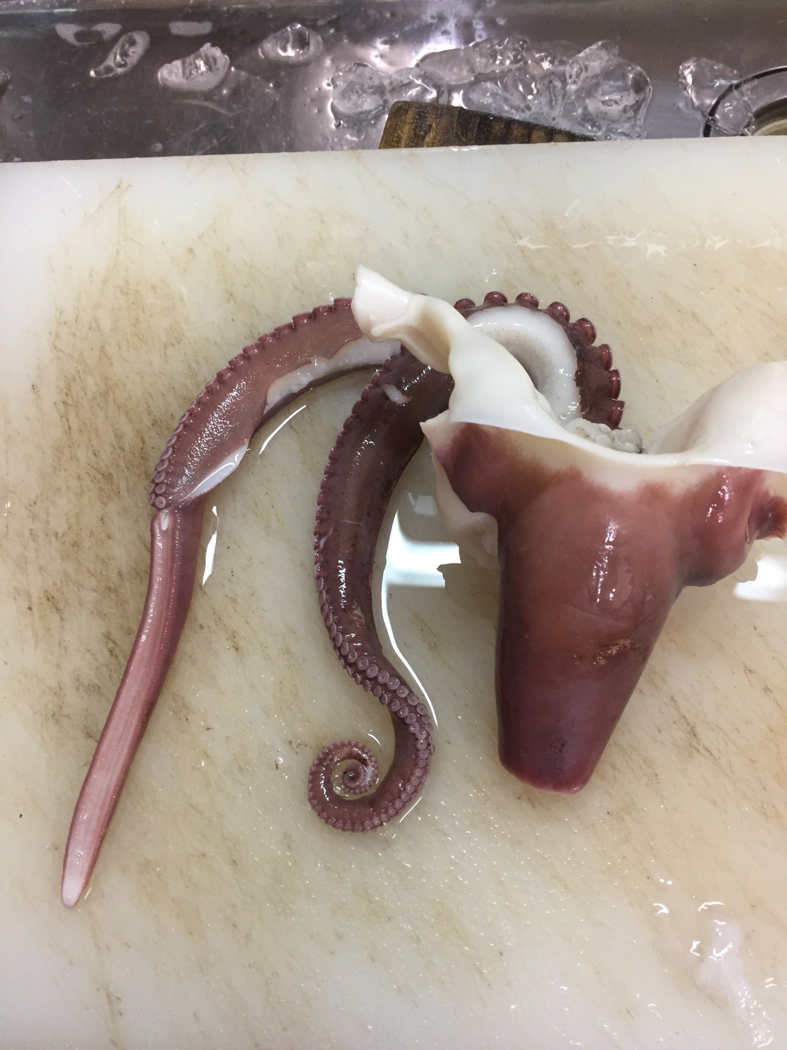 たなか 左 タコのちんこ 中 ちんこじゃない足 右 高須先生手術前のちんこみたいな形だけど 噴水弁みたいなやつ 全部美味い T Co Cfithis9jj Twitter