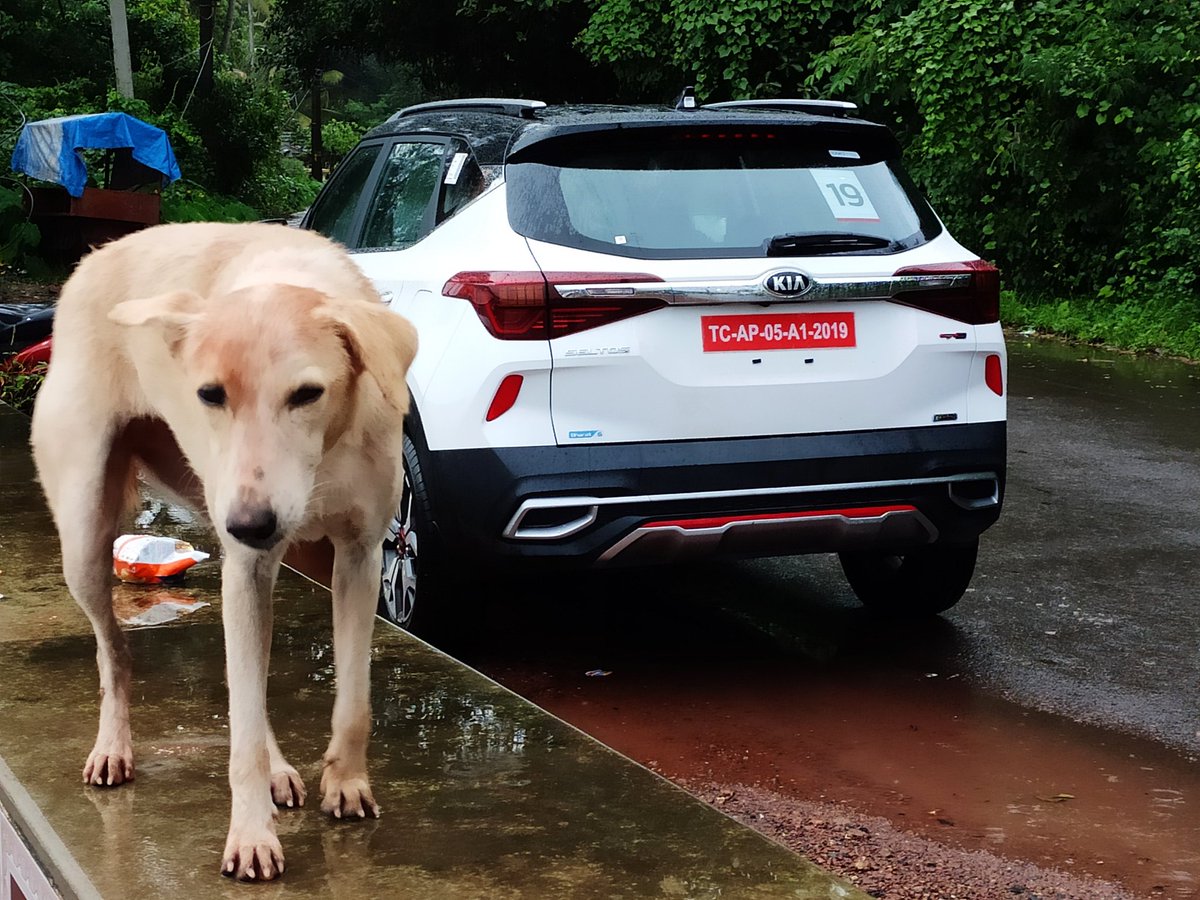 sumantrabarooah's tweet photo. Mutt: Hello! Heard there's a new SUV called #KiaSeltos doing the rounds in #Goa for the last few days. Please share details.
Me: Hello! I'd love to, but sorry, there's an embargo.
Mutt: No worries, I can smell it. I will find out details myself.
#SeltosGoaDrive #DogEncounter https://t.co/xXRMxZHrdD
