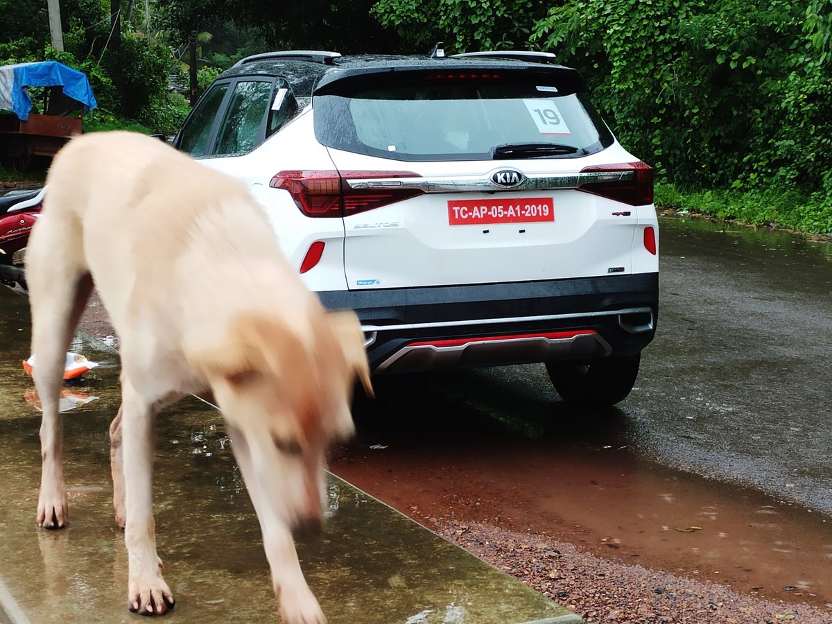 sumantrabarooah's tweet photo. Mutt: Hello! Heard there's a new SUV called #KiaSeltos doing the rounds in #Goa for the last few days. Please share details.
Me: Hello! I'd love to, but sorry, there's an embargo.
Mutt: No worries, I can smell it. I will find out details myself.
#SeltosGoaDrive #DogEncounter https://t.co/xXRMxZHrdD