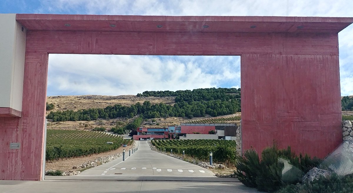 Un #tbt al día de la #ExperienciaQuePerduraEnElRecuerdo 💜 Bodega de <a href="/PagoCarraovejas/">Pago de Carraovejas</a> 💯🔝🏆 en #Peñafiel <a href="/riberadelduero/">Ribera Wines UK</a>. Quiénes se apuntan al próximo viaje?? 🙋🏻✈🧳🍷🍾
#antojodevino #riberadelduero #vinoblog #wineblog #winelover #winetravel  #enoturismo #winelove