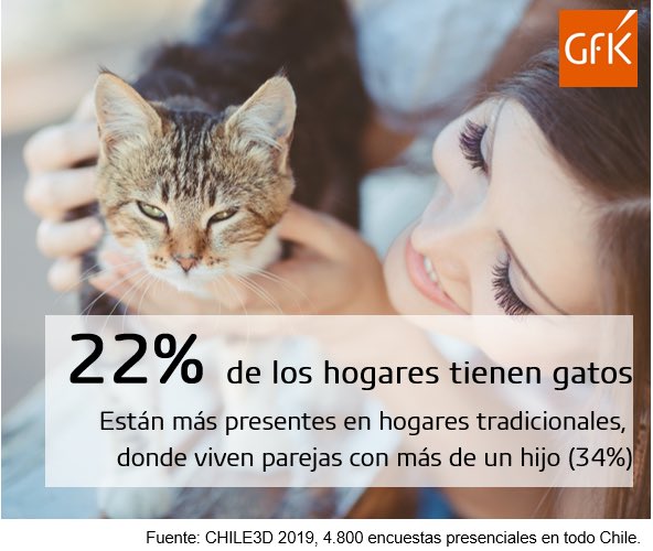 GfKChile's tweet photo. Eres un catlover? 😻. Las cifras de GFK Chile en el Día Internacional de los Gatos. #GFK #catlover https://t.co/VpCb3di3u1