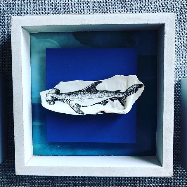 autumnwrites's tweet photo. We typically don’t get these fellas up here in the cooler waters of the Pacific Northwest but I felt the need to add the beautiful hammerhead to my recent shark series, all painted on seashells I’ve found on the Oregon coast! #hammerhead #shark #oceanlif… https://t.co/krejtYqWhg https://t.co/Kg7Qljk7aS