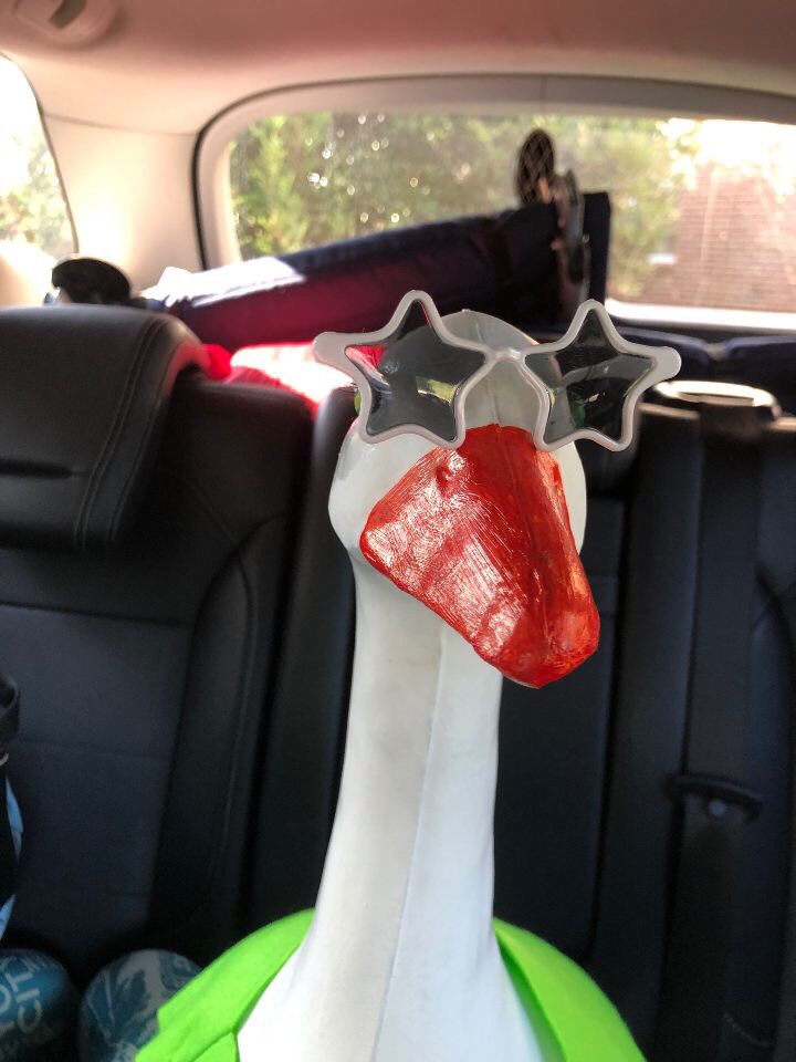 Gretchen is ready for the HoDown in Asheville! Follow our twitter and Instagram for score updates and regular shenanigans on the sideline!!