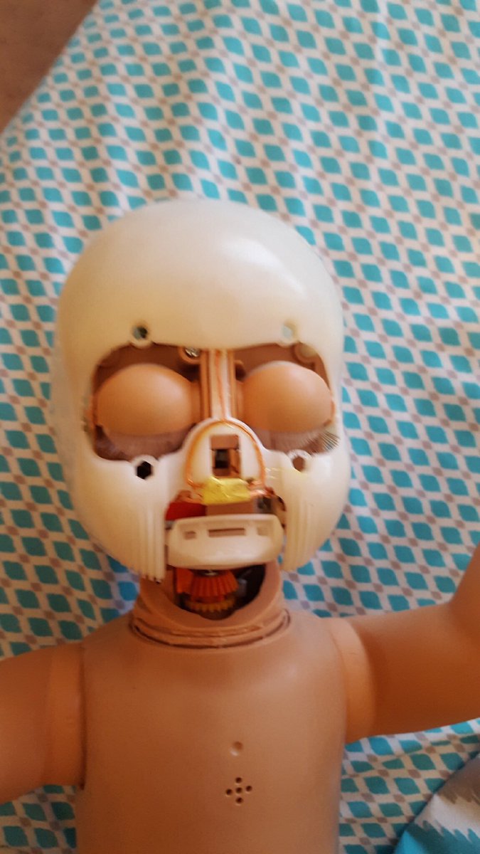 Jamessuxtiddies's tweet photo. My little sister has an obsession with cutting the faces off baby dolls/stuffed animals and putting them on other dolls. Help https://t.co/3h4CEmayDE