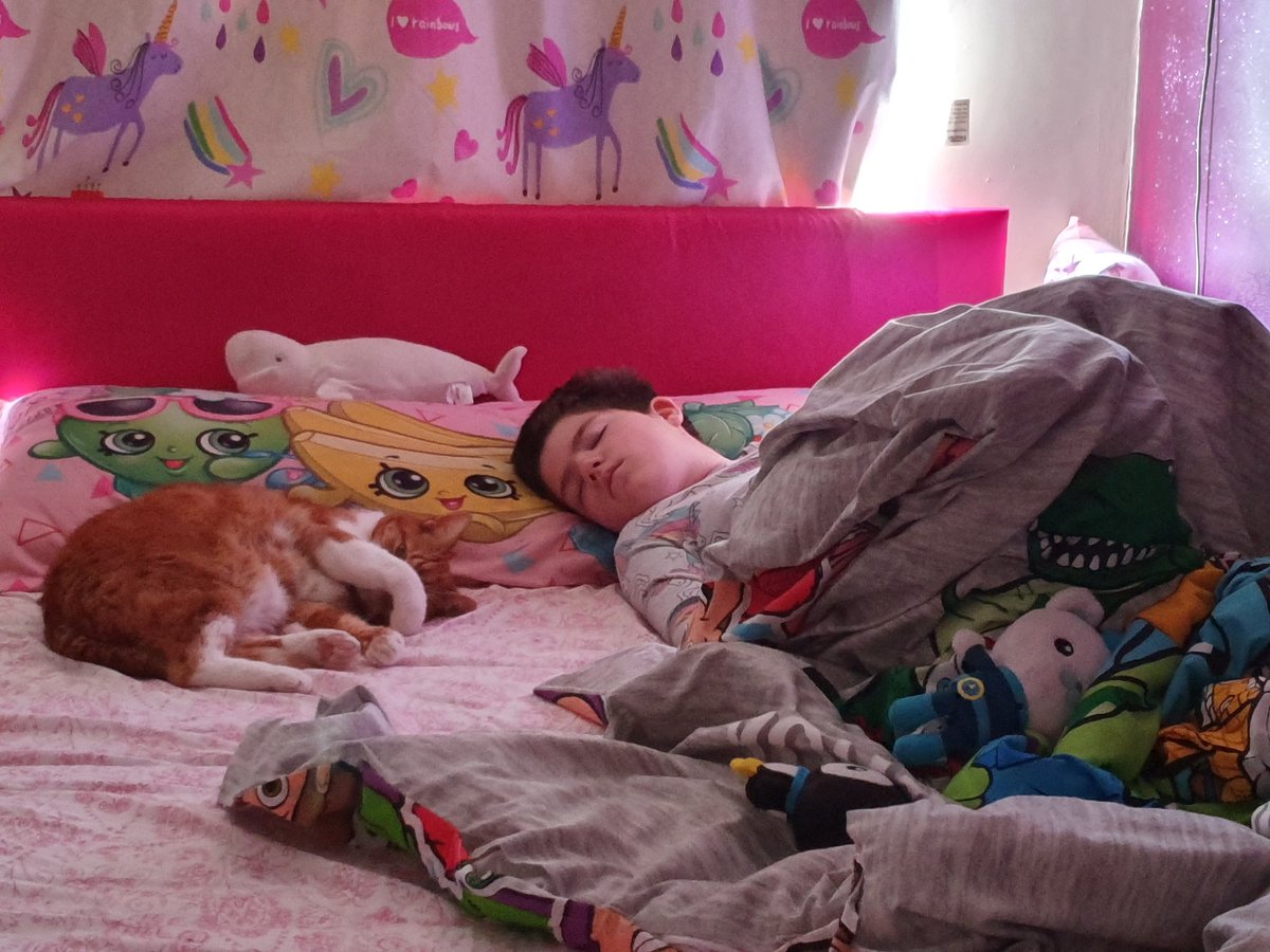 Maryriddell4's tweet photo. @LoveWilko My cat and Daughter enjoying a lay in ♥️♥️♥️ #sendcat #dakotasmum #catsarethebest #seizureaware https://t.co/hmlmjVDMYo