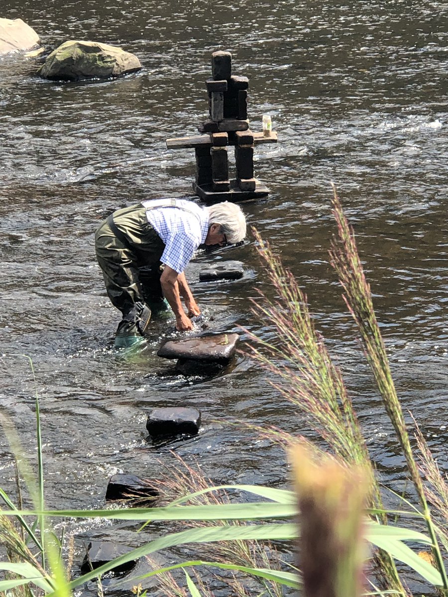 Miss Vardy tweet media