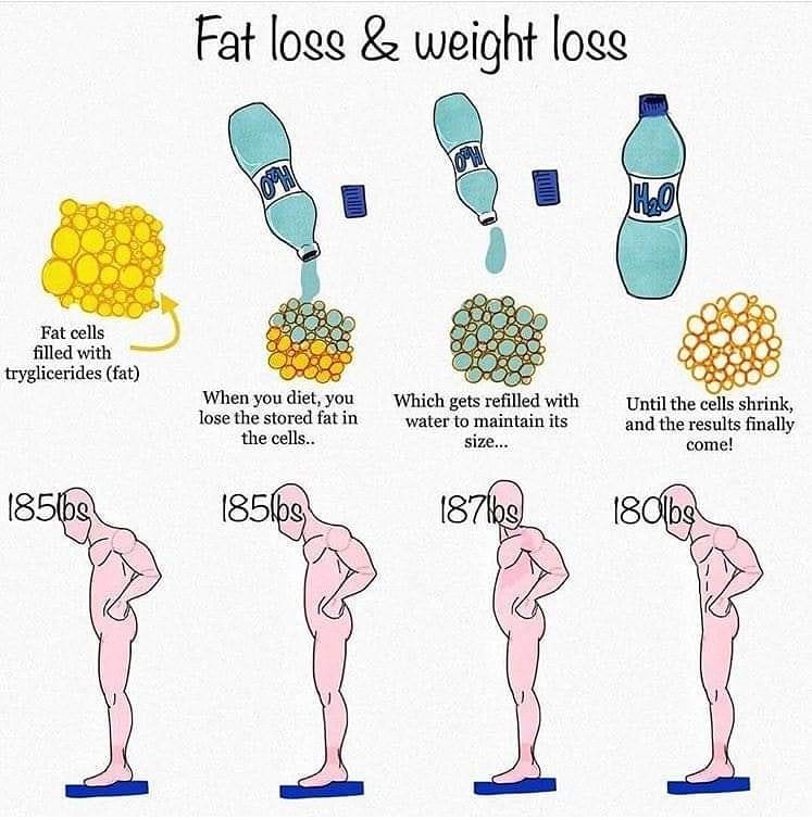 dorianpickles's tweet photo. Supercharging your Metabolism - https://t.co/tBJbafZlwi
Oh my goodness, sometimes you hear success stories, and other times you hear SUCCESS stories!

Like this woman, managed to shed gallons of ugly fat, turn her life around, an... https://t.co/sY4qgBd28r