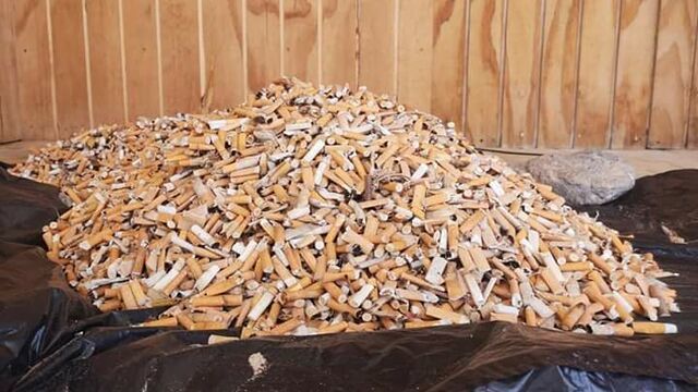 diariocadiz's tweet photo. Recogen siete kilos de colillas en la playa de El Palmar https://t.co/qrBdsaYX6N https://t.co/gaD0caK9rF