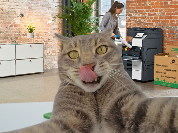 GroupeSequences's tweet photo. 🐱 C'est la journée internationale du chat ! De plus en plus de salariés sont autorisés à emmener leur animal de compagnie au travail. Et vous ?

#journeeinternationaleduchat #chat #cat #travail #work https://t.co/81dVdXldUc