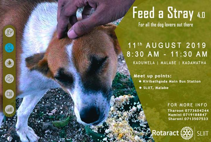 RotaractSLIIT's tweet photo. 🐶 Let's make their day a little less ruff with Feed a stray 4.0!
Come join us on 11th of August at 8.30 am.
Meet up points:
• Kiribathgoda Main Bus Station
• SLIIT, Malabe
🐾 It's the Paw-fect way to make em woof with joy!
#RACSLIIT #FeedAStray #Rotaract #Rotar… https://t.co/vqQK96Ape8
