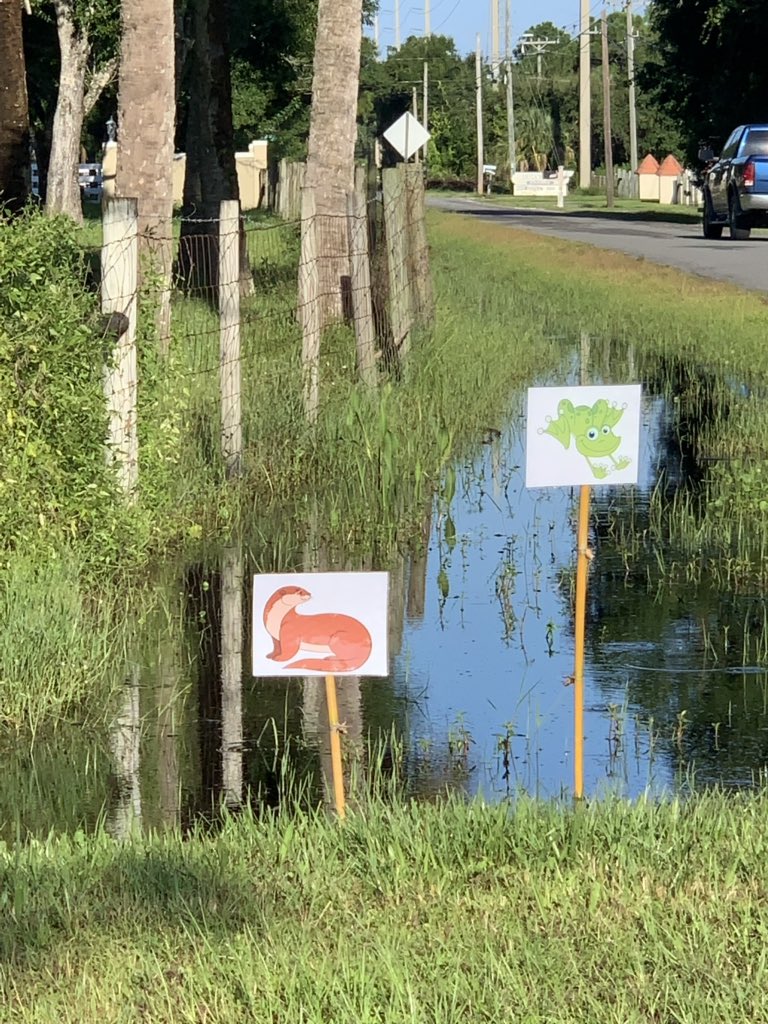 HubbsSusanP's tweet photo. Spotted some otters this morning! @HubbsMeganS https://t.co/Wg9Q85O12o