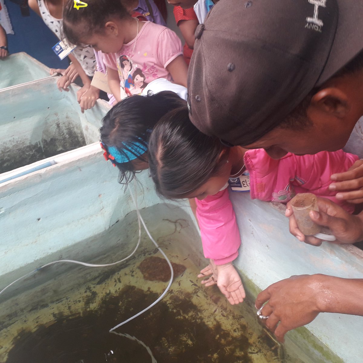 Acuarios_A's tweet photo. #ENFOTOS 📸 Con un recorrido en las áreas productivas de la empresa @Acuarios_A  los mas pequeños disfrutaron de una mañana de aprendizaje donde se dio a conocer parte del trabajo para el resguardo de los peces. Leer + > https://t.co/4E1yDKveYJ #VenezuelaDignaYSoberana https://t.co/hVlrhwArwo