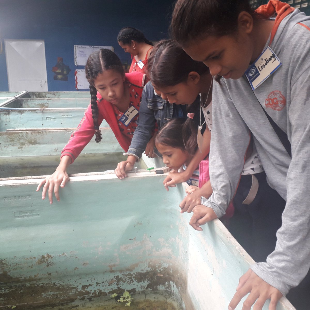 Acuarios_A's tweet photo. #ENFOTOS 📸 Con un recorrido en las áreas productivas de la empresa @Acuarios_A  los mas pequeños disfrutaron de una mañana de aprendizaje donde se dio a conocer parte del trabajo para el resguardo de los peces. Leer + > https://t.co/4E1yDKveYJ #VenezuelaDignaYSoberana https://t.co/hVlrhwArwo