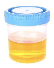 Melanie Yarbrough tweet media