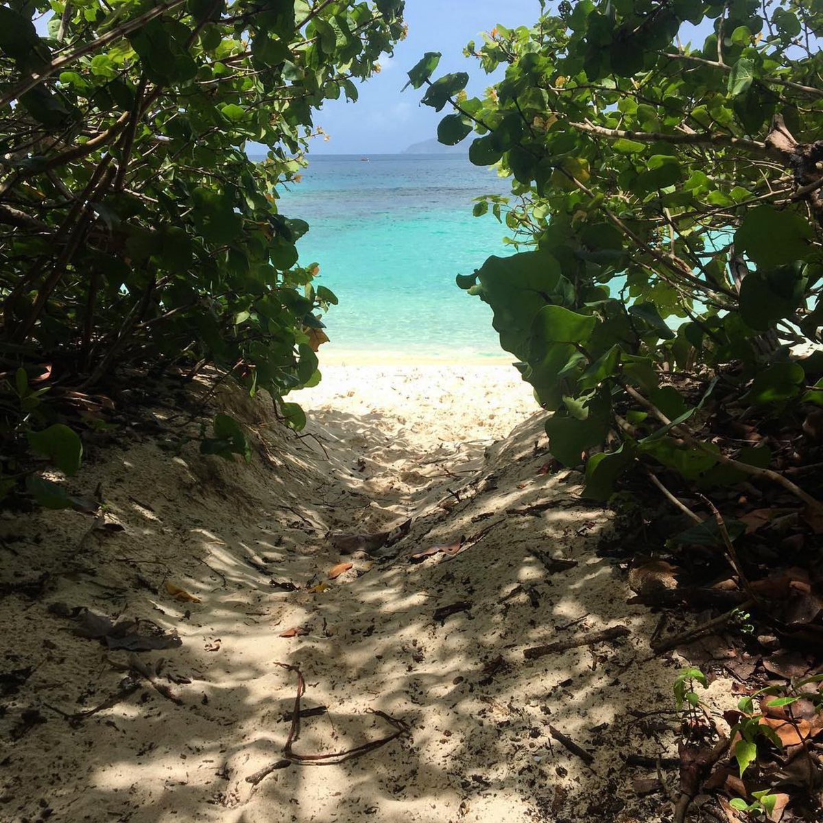 beachlifemind's tweet photo. “The beach is calling and I must go” 🏝#beachlifemindset #getbeachy
photo: @borntorhumb
#stjohn #usvi https://t.co/ZrQv1REzNB